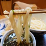 手打ちうどん寺屋  - かしわ天つけめん⑥