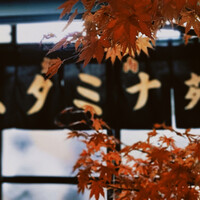 焼肉 スタミナ苑 - 
