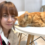 横浜 元町 中華街 猫カフェ 猫ちゃんといっしょ - 