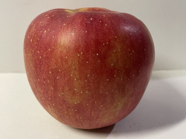 愛菜館（アイサイカン） - 米沢（その他）の写真