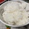秋田ふるさと館 - 料理写真:炊きたてのサキホコレ。新米。ピカピカ。つやつや。