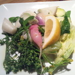 タケル クインディチ - 地野菜蒸し煮