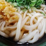 手打ちセルフうどん 海侍 - かけうどん(熱 中2玉)