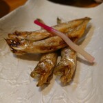 よど川 - ししゃも