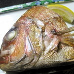 碧翠御苑 - 私はおかしら