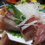 碧翠御苑 - お刺身は一人このお皿×２杯分くらい！