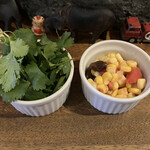 カレーの店 マボロシ - パクチー サラダ