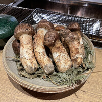 御幸町 田がわ - 立派な青森産松茸