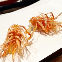 天冨良 天孝 -  天冨良 天孝 -