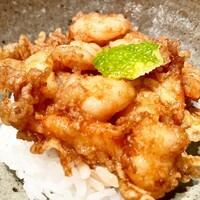 天冨良 天孝 -  天冨良 天孝 -