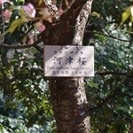 ホテル椿山荘東京 - 