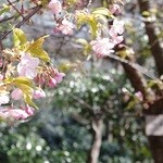 ホテル椿山荘東京 - 