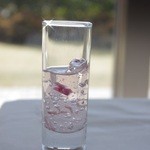 ホテル椿山荘東京 - 