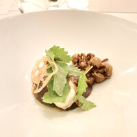 Wattle Tokyo - 