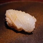 きう - あおりいか