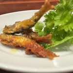 スペイン料理 muyrico - 