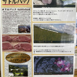 とんかつ 栄ちゃん - 