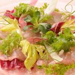 メインダイニング - 【公式HP】アラカルト：鮮魚の薄切り サラダ仕立て 伊東産みかんのヴィネグレット
