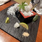 しまなみ直送 真鯛・海鮮料理専門店 鯛将 - 