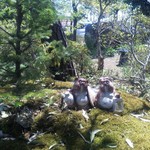 庭園そば処みさと - 他人には思えないタヌキご夫妻が庭園でお出迎え