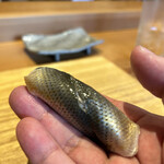 天ぷら たけうち - 有明のコバダ