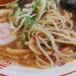 つけ麺 冨 - 麺アップ