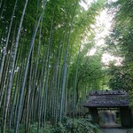 とらや工房 - 敷地入り口の竹林と門