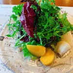 カーブドッチ - 