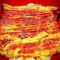 うなぎ割烹 大江戸 - 