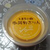 お菓子の郷　ジロー - 御所野プリン 170円