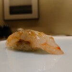 鮨 なんば - 牡丹エビ