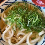 Marugame Seimen - かけうどん