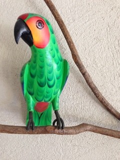 ナチュラル　カフェイーナ - 