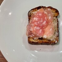 セルサルサーレ - 