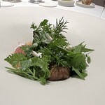 SINAE - 【 秋野菜のサラダ 】