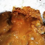 とべ温泉湯砥里館 - カツの部分アップです