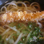 柊 - えび天うどん、アップ！