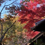 山みず木 - お部屋の景色