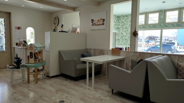 White JiJi（ホワイト ジジ） - 石巻あゆみ野（カフェ）の写真