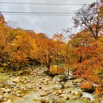 乳頭温泉郷 妙乃湯 - ◎先達川沿いの紅葉は素晴らしかった❗️