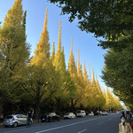 モノリス - 神宮外苑銀杏並木