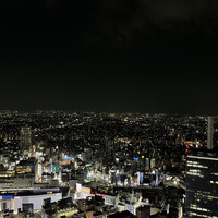 天空の庭　星のなる木 - 