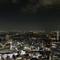 天空の庭　星のなる木 - 