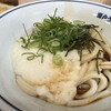 Seto Udon - 