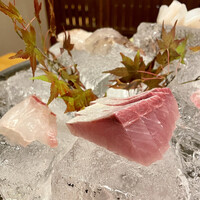 銀平 北新地店 - 