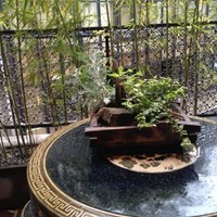 神田 雲林 - 雲林・テラス？に竹林？