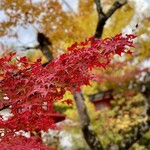 うどん えんどう - 亀岡の鍬山神社