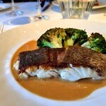 コート ドール - 