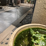 にぎり鮨 一五〇 - 赤メダカ