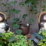 飄禄玉 - たぬき（221106）